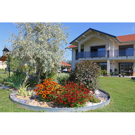 Nachyłek Red Elf CENA