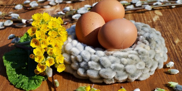Jakie kwiaty kwitną w ogrodzie na Wielkanoc