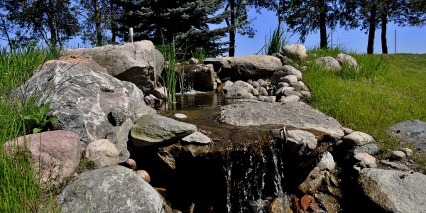 Jak zagospodarować skarpę w ogrodzie