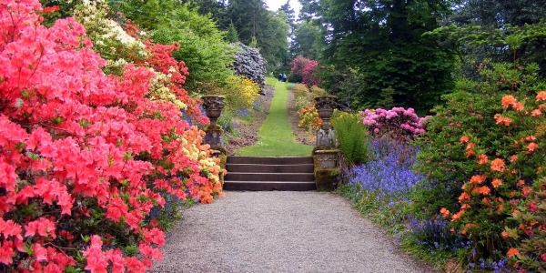 Jak zrobić ścieżkę w ogrodzie